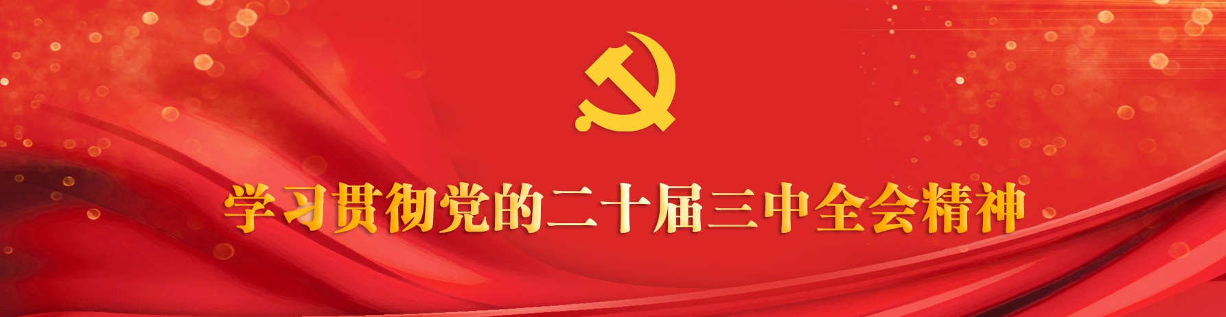 学习贯彻党的二十届三中全会精神